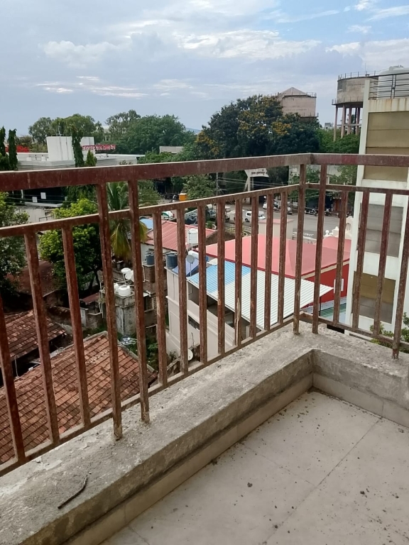 1 BHK Flat Balcony View 